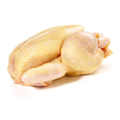 Pullet (Whole)