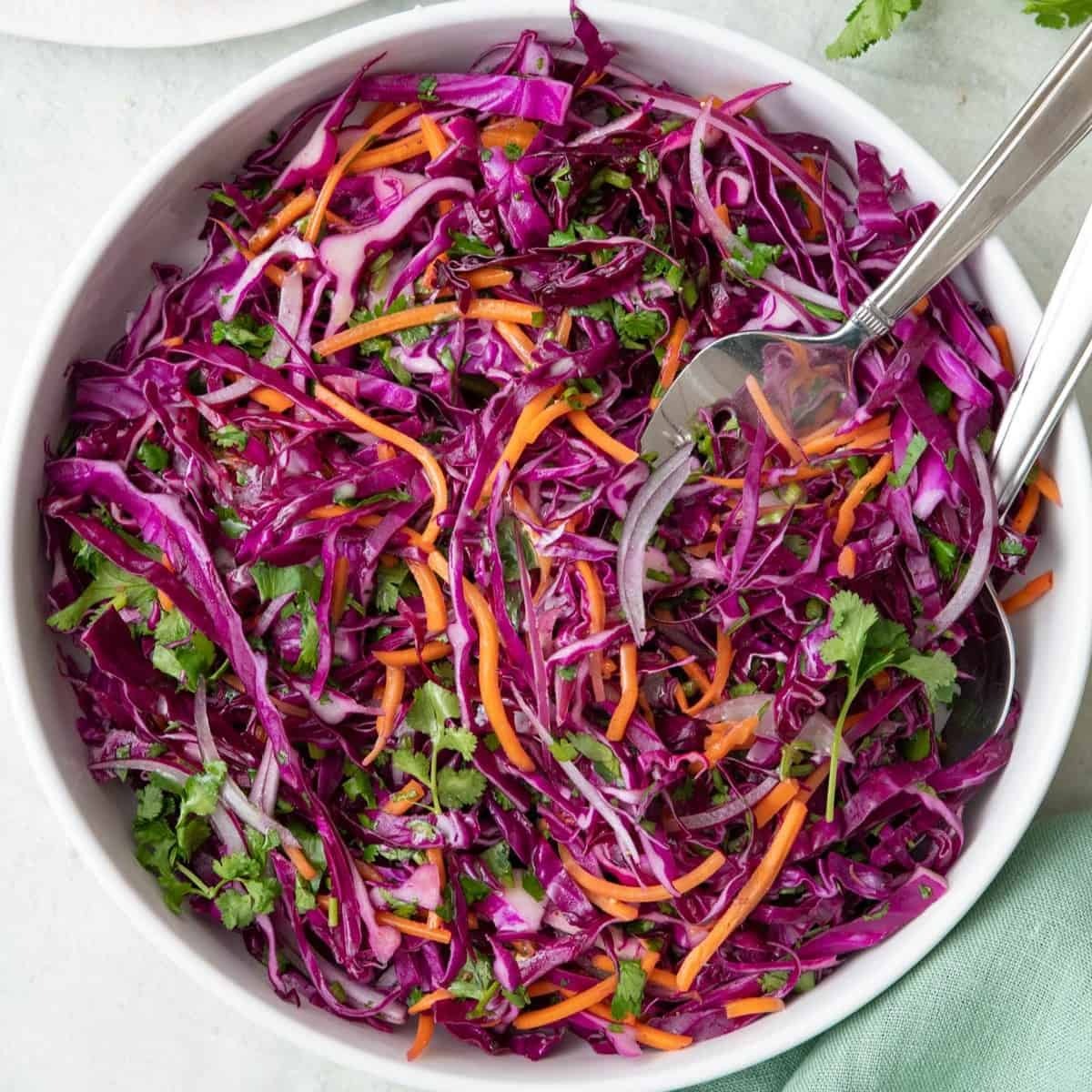 Red Cabbage Salad