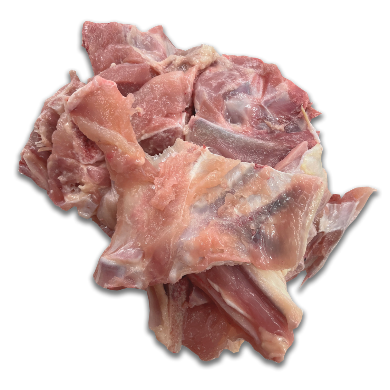 Turkey Bones